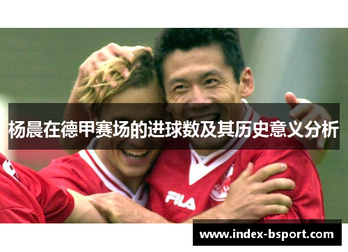 杨晨在德甲赛场的进球数及其历史意义分析
