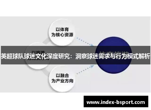 英超球队球迷文化深度研究：洞察球迷需求与行为模式解析