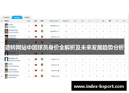 德转网站中国球员身价全解析及未来发展趋势分析