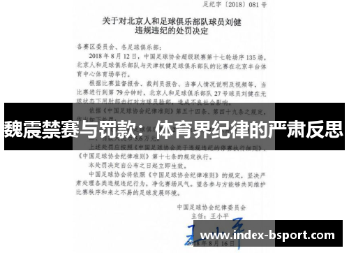 魏震禁赛与罚款：体育界纪律的严肃反思