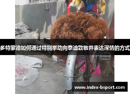 多特蒙德如何通过特别举动向泰迪致敬并表达深情的方式