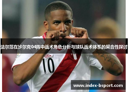 法尔范在沙尔克04阵中战术角色分析与球队战术体系的契合性探讨