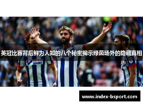 英冠比赛背后鲜为人知的八个秘密揭示绿茵场外的隐藏真相
